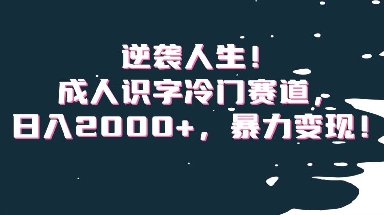逆袭人生!成人识字冷门赛道,日入2000+,暴力变现!【揭秘】插图 逆袭人生!成人识字冷门赛道,日入2000+,暴力变现!【揭秘】