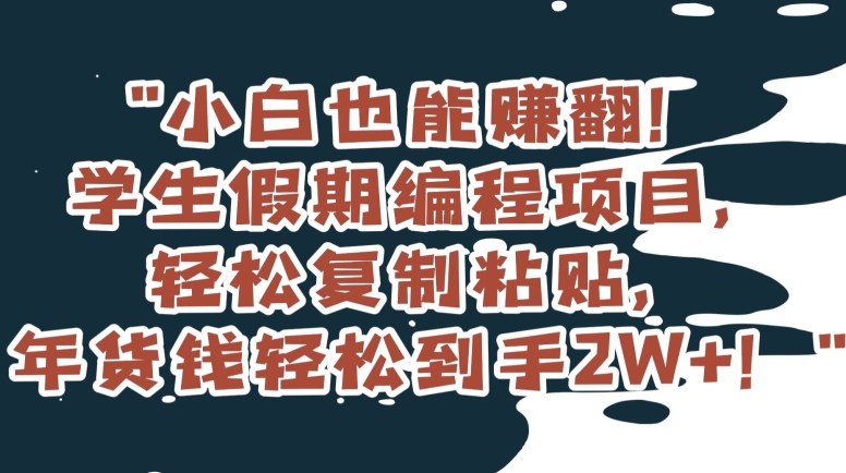 小白也能赚翻!学生假期编程项目,轻松复制粘贴,年货钱轻松到手2W+【揭秘】插图 小白也能赚翻!学生假期编程项目,轻松复制粘贴,年货钱轻松到手2W+【揭秘】