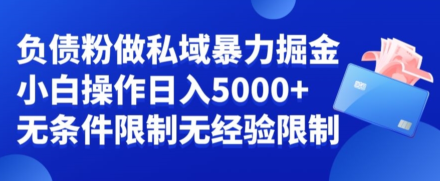 负债粉私域暴力掘金,小白操作入5000,无经验限制,无条件限制【揭秘】插图 负债粉私域暴力掘金,小白操作入5000,无经验限制,无条件限制【揭秘】