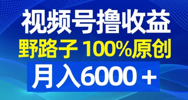 视频号野路子撸收益,100%原创,条条爆款,月入6000+【揭秘】插图 视频号野路子撸收益,100%原创,条条爆款,月入6000+【揭秘】