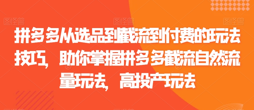 拼多多从选品到截流到付费的玩法技巧,助你掌握拼多多截流自然流量玩法,高投产玩法插图 拼多多从选品到截流到付费的玩法技巧,助你掌握拼多多截流自然流量玩法,高投产玩法