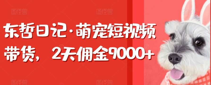 东哲日记·萌宠短视频带货,2天佣金9000+插图 东哲日记·萌宠短视频带货,2天佣金9000+