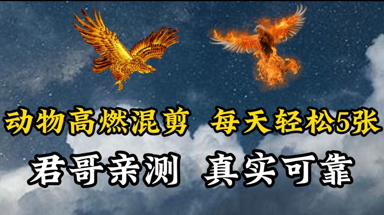 动物超燃混剪,每天轻松5张,剪辑简单大家爱看【揭秘】插图 动物超燃混剪,每天轻松5张,剪辑简单大家爱看【揭秘】
