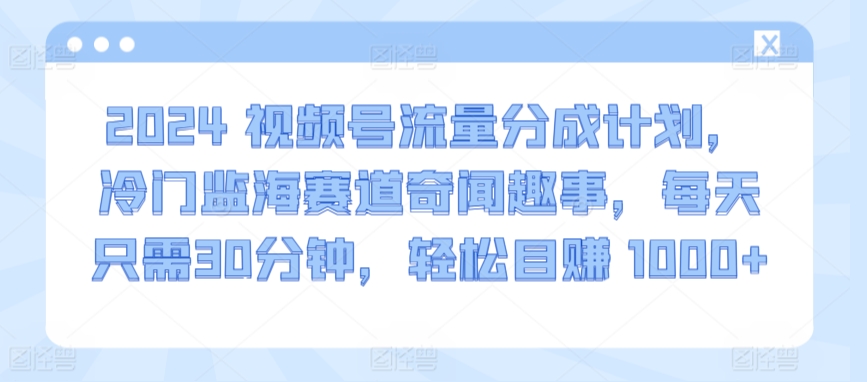 2024视频号流量分成计划,冷门监海赛道奇闻趣事,每天只需30分钟,轻松目赚 1000+【揭秘】插图 2024视频号流量分成计划,冷门监海赛道奇闻趣事,每天只需30分钟,轻松目赚 1000+【揭秘】