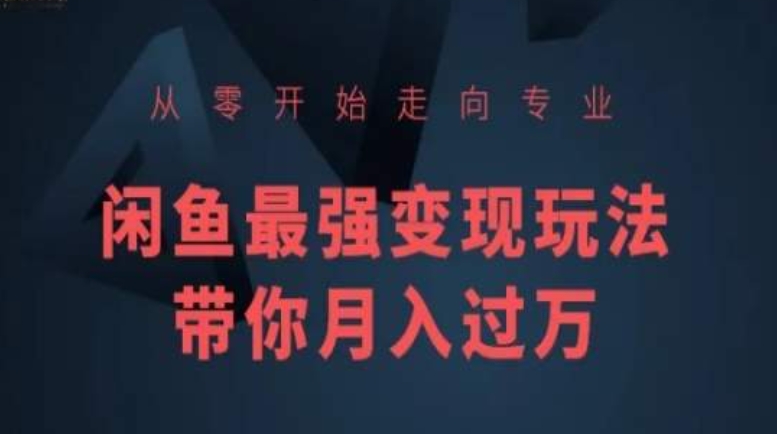 从零开始走向专业,闲鱼最强变现玩法带你月入过万插图 从零开始走向专业,闲鱼最强变现玩法带你月入过万