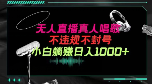 抖音24小时无人直播音乐,不违规,不封号纯撸音浪,小白实操当天日入1000+【揭秘】插图 抖音24小时无人直播音乐,不违规,不封号纯撸音浪,小白实操当天日入1000+【揭秘】