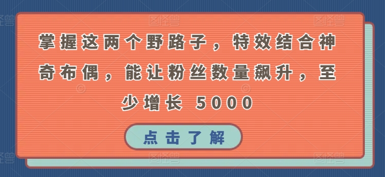 掌握这两个野路子,特效结合神奇布偶,能让粉丝数量飙升,至少增长 5000【揭秘】插图 掌握这两个野路子,特效结合神奇布偶,能让粉丝数量飙升,至少增长 5000【揭秘】