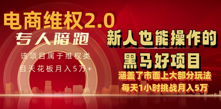 电商维权 4.0 如何做到月入 5 万+每天 1 小时新人也能快速上手【仅揭秘】插图 电商维权 4.0 如何做到月入 5 万+每天 1 小时新人也能快速上手【仅揭秘】