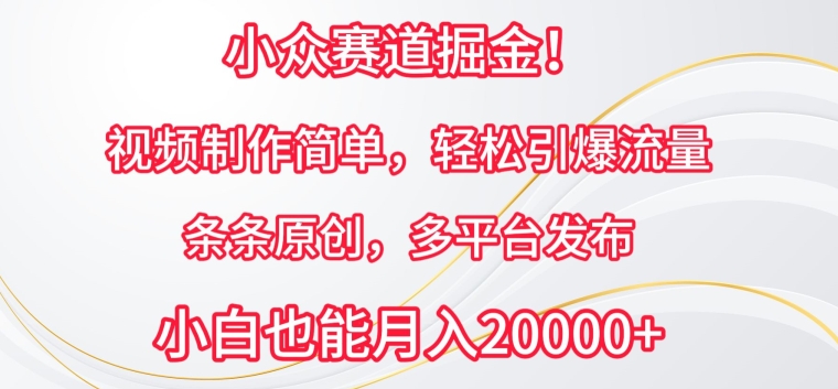 小众赛道掘金,视频制作简单,轻松引爆流量,条条原创,多平台发布【揭秘】插图 小众赛道掘金,视频制作简单,轻松引爆流量,条条原创,多平台发布【揭秘】