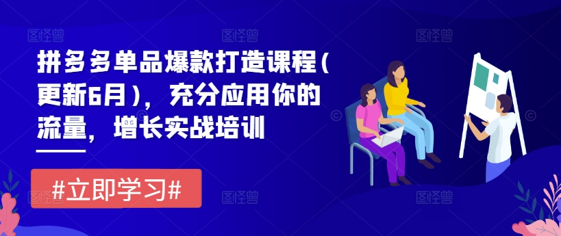 拼多多单品爆款打造课程(更新6月),充分应用你的流量,增长实战培训插图 拼多多单品爆款打造课程(更新6月),充分应用你的流量,增长实战培训