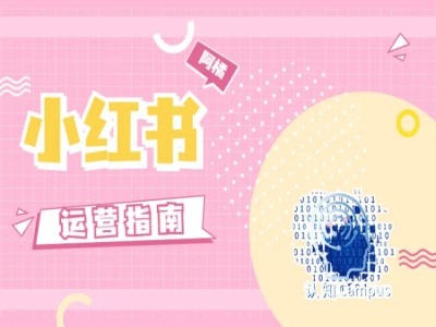 小红书运营指南,没有套路,全是经验插图 小红书运营指南,没有套路,全是经验