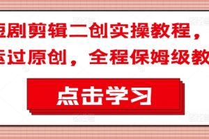 小红书实战训练营，从0到1，6000万小红书项目拆解