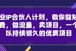 解放双手版玩法阅读，利用信息差让别人操作你来躺Z，管道收益才是王道，小白轻松上手【揭秘】