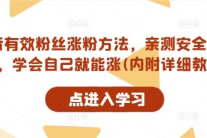 小红书电商项目教程，0-1入门全盘玩法解析