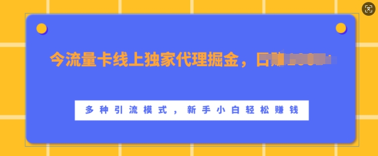流量卡线上独家代理掘金,日入1k+ ,多种引流模式,新手小白轻松上手【揭秘】插图 流量卡线上独家代理掘金,日入1k+ ,多种引流模式,新手小白轻松上手【揭秘】